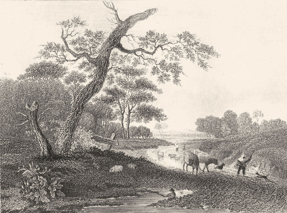 WALES. The Vale of Llanwillan. DUGDALE 1845 old antique vintage print picture